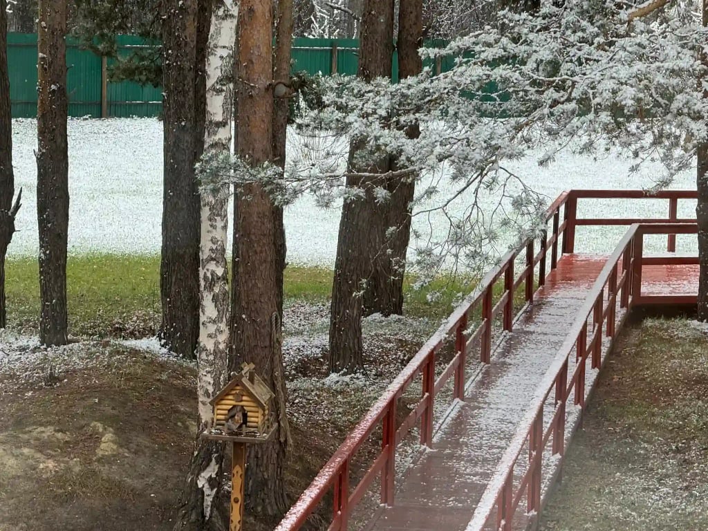 Здание и территория Клинического Института Мозга